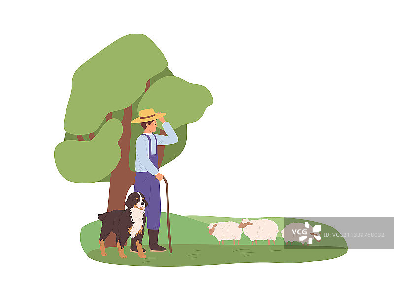 牧羊人与牧羊犬放牧羊群图片素材