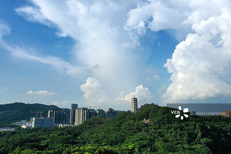 广东省深圳市福田区深圳国际园林花卉博览园航拍图片素材
