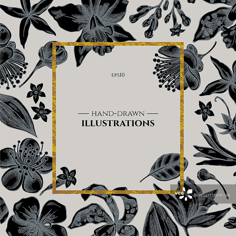 以拉埃利亚·费约亚花卉为主题的徽章设计图片素材