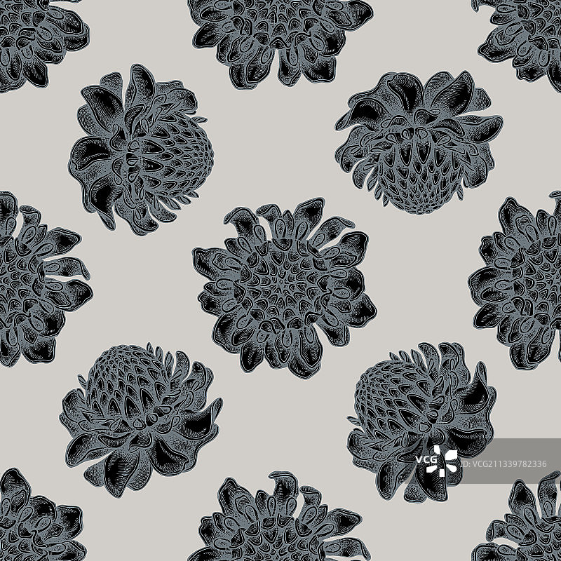 手绘风格化图案图片素材