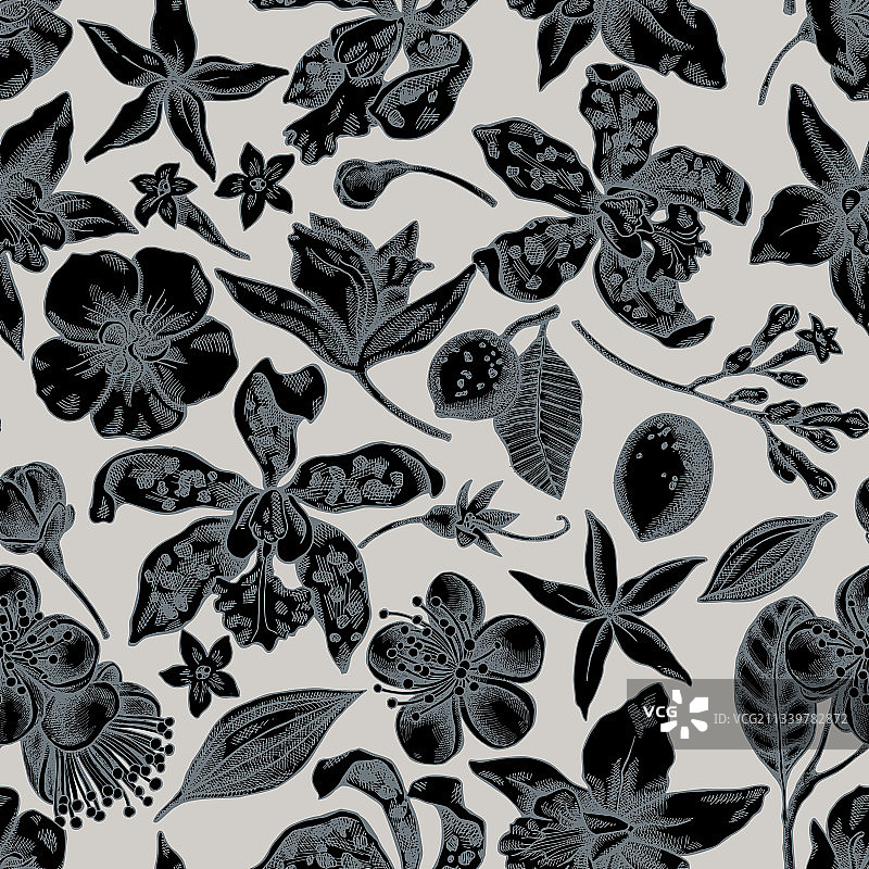 手绘香草兰无缝图案图片素材