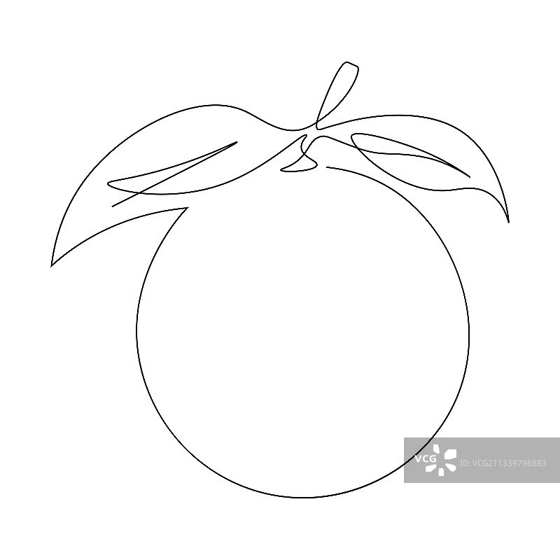 连续单线橙子设计图片素材