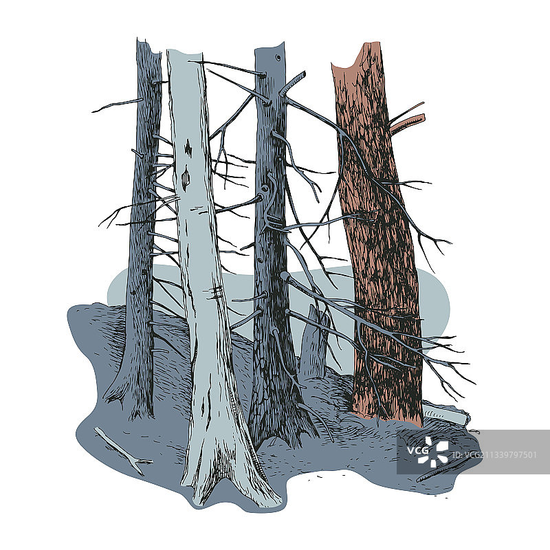 黑夜森林中的树木剪影图片素材