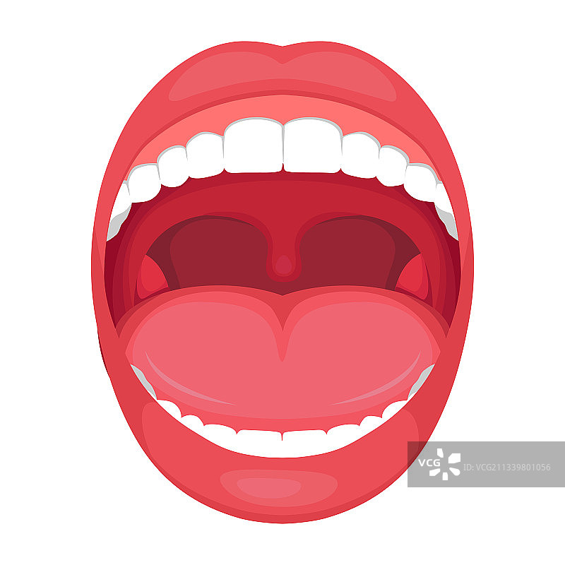 人体张开的嘴巴医疗解剖结构图片素材
