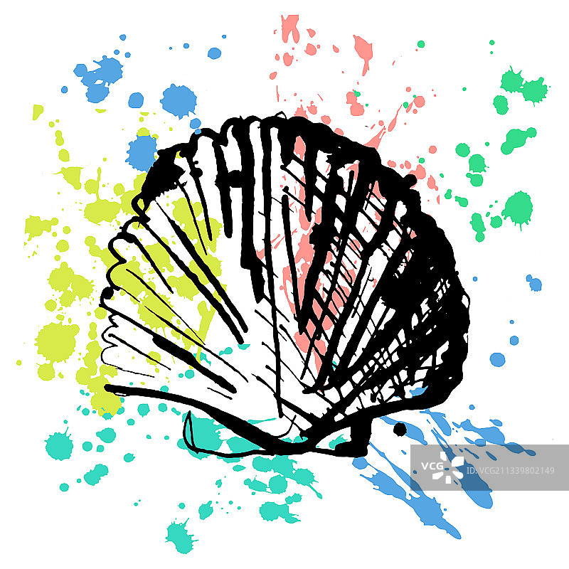 线性绘制在背景上的珍珠牡蛎壳图片素材