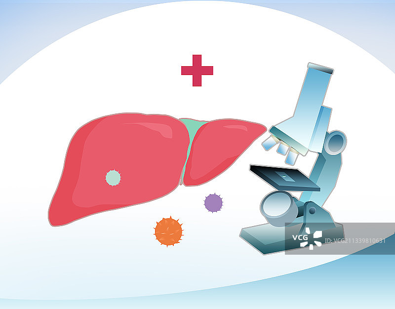 关爱肝部健康世界肝炎日插画图片素材
