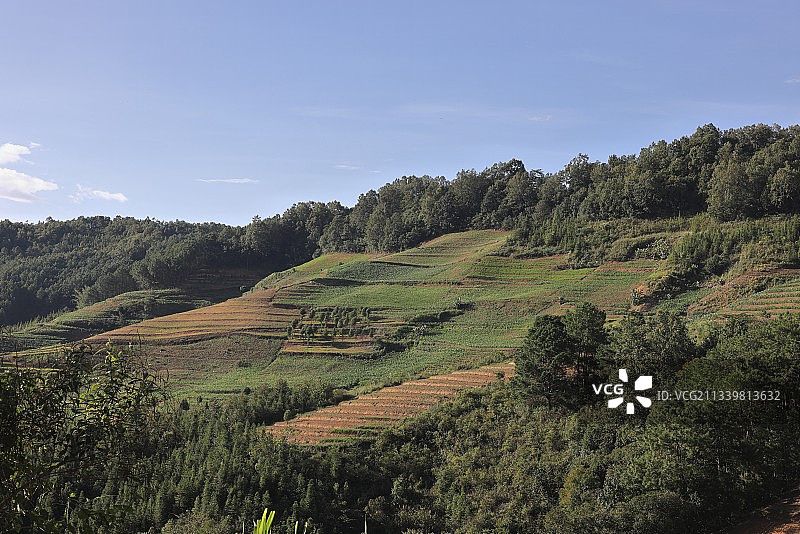 彩色的田野图片素材
