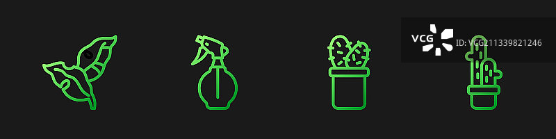 盆栽仙人掌和热带树叶图片素材