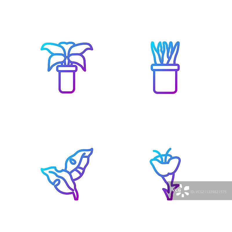 线条花卉热带树叶异国情调图片素材