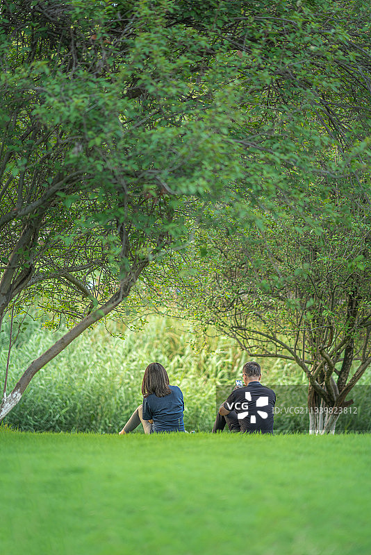树荫下的人图片素材