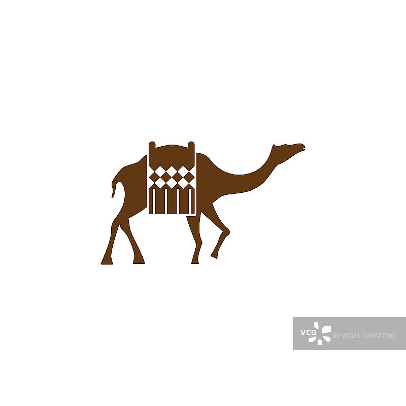 骆驼图片素材