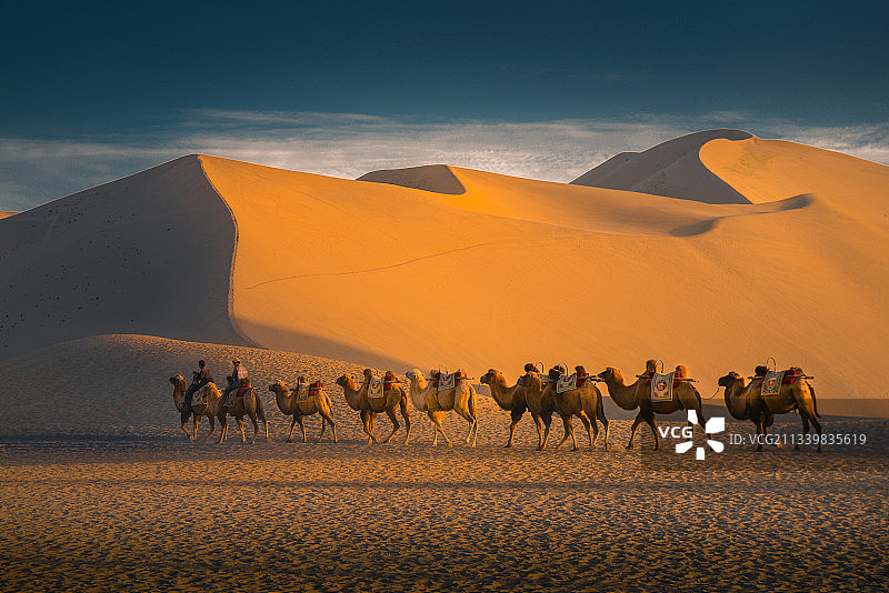 沙海驼铃图片素材