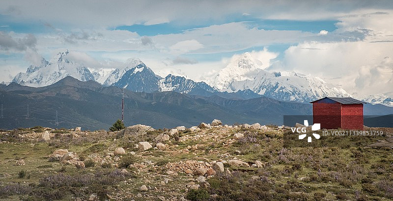 雪山脚下，索玛花开图片素材