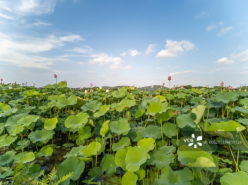 徐州云龙湖风景区位于徐州市区南部，以云龙山水自然景观为特色图片素材