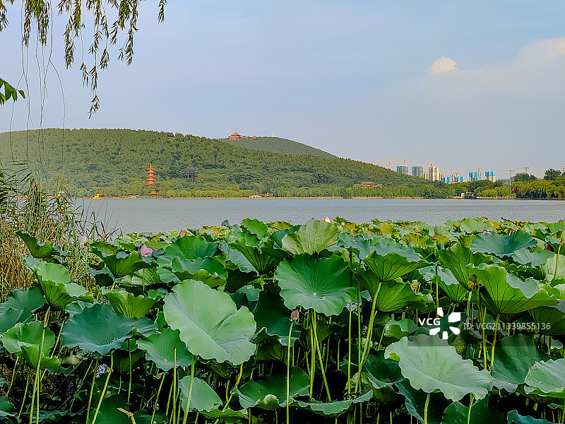 徐州云龙湖风景区位于徐州市区南部，以云龙山水自然景观为特色图片素材