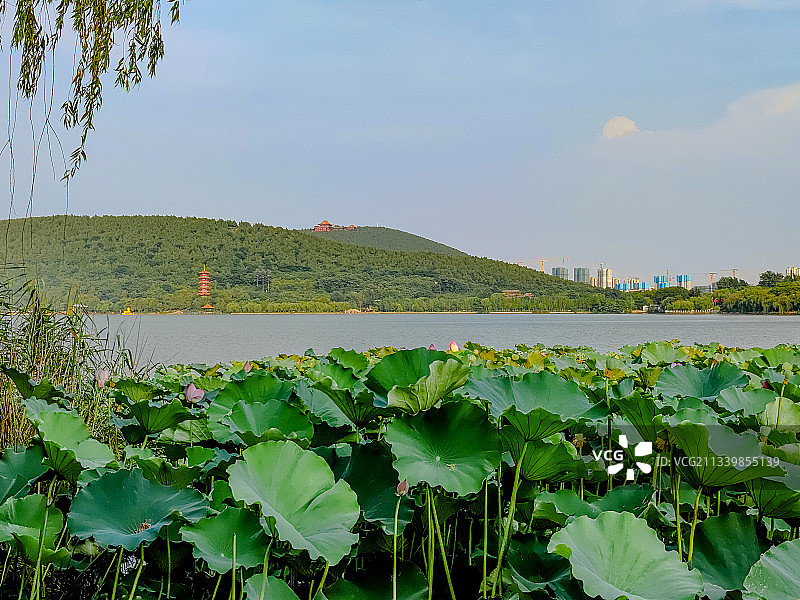 徐州云龙湖风景区位于徐州市区南部，以云龙山水自然景观为特色图片素材