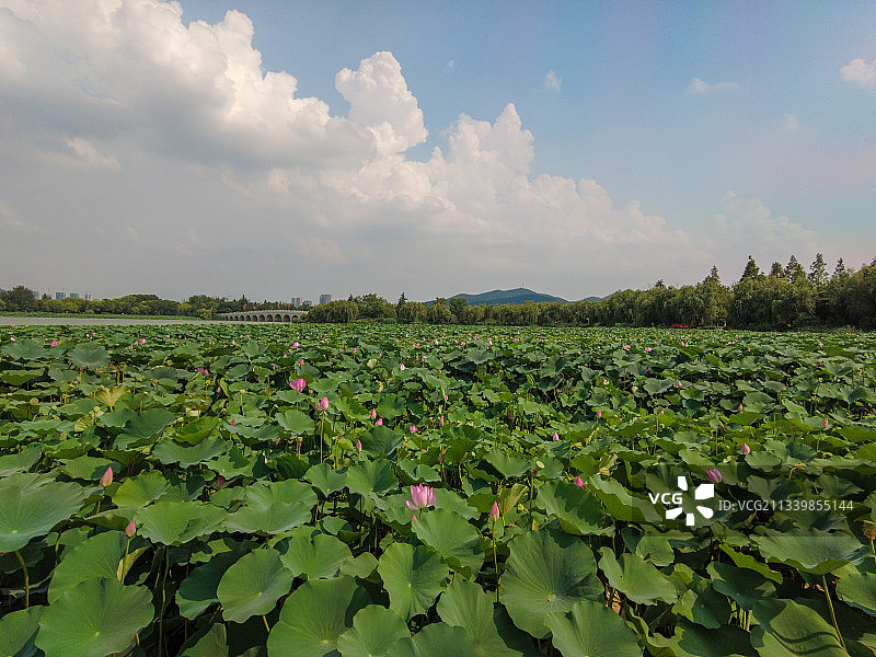 徐州云龙湖风景区位于徐州市区南部，以云龙山水自然景观为特色图片素材