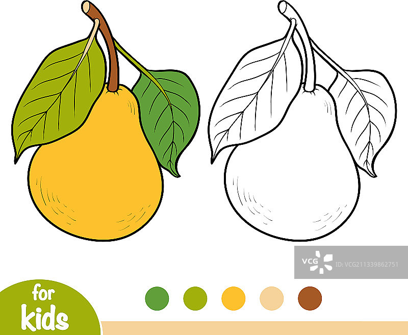 梨树枝涂色书图片素材