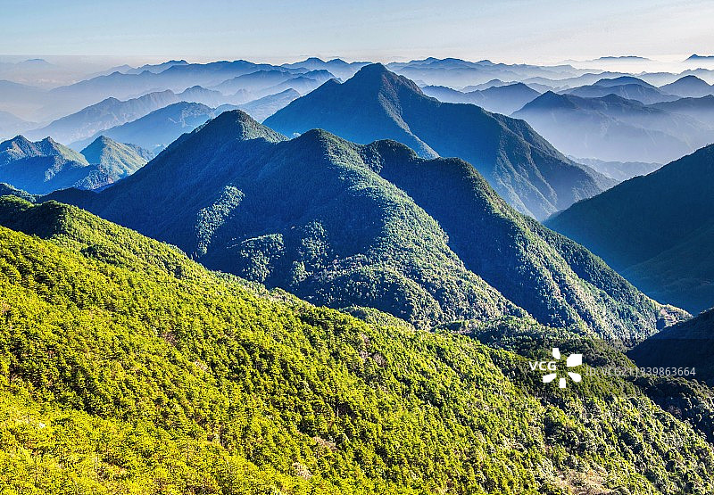 浙南林海图片素材