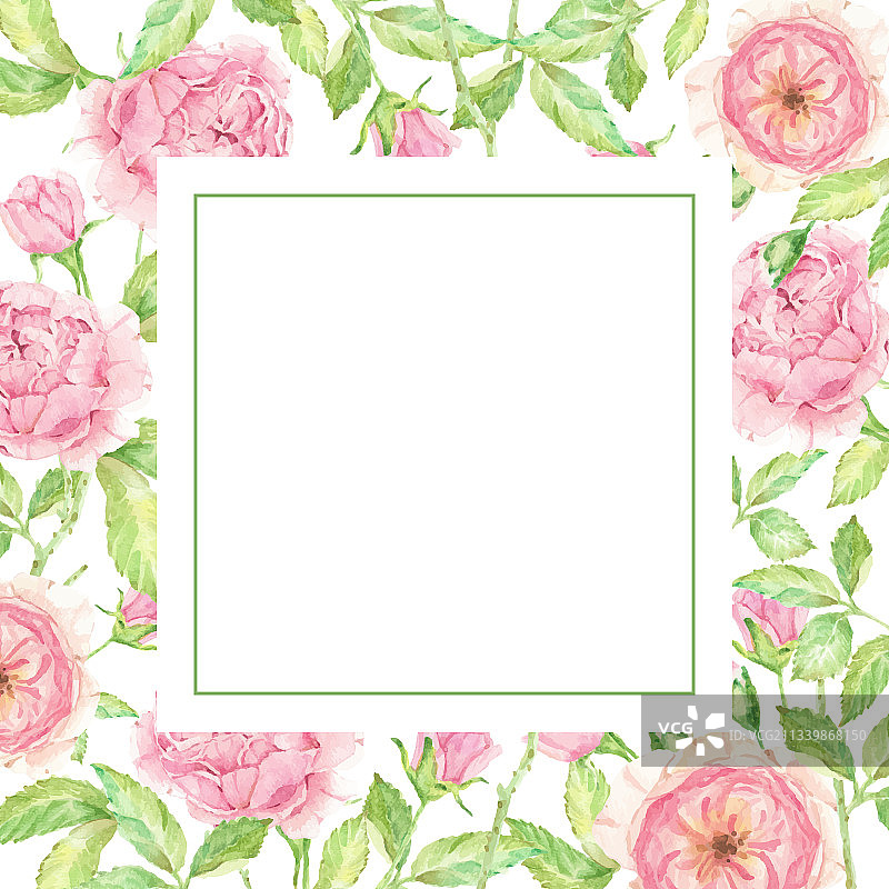 水彩英国玫瑰花束图片素材