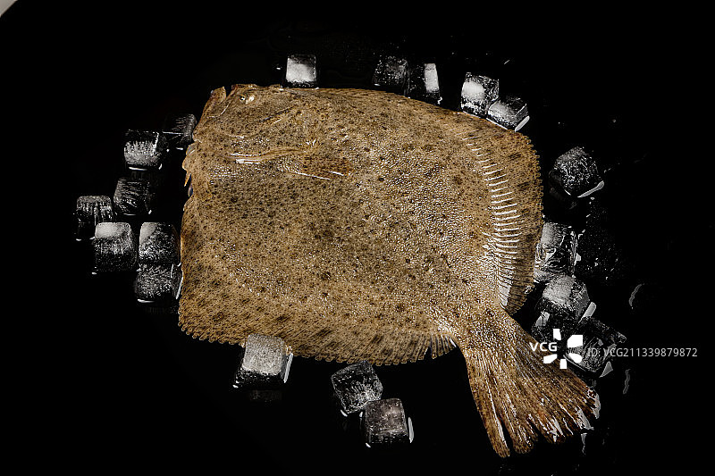 黑底上摆放着比目鱼图片素材