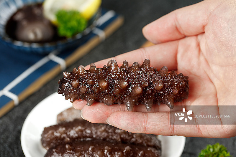 手拿刺参图片素材