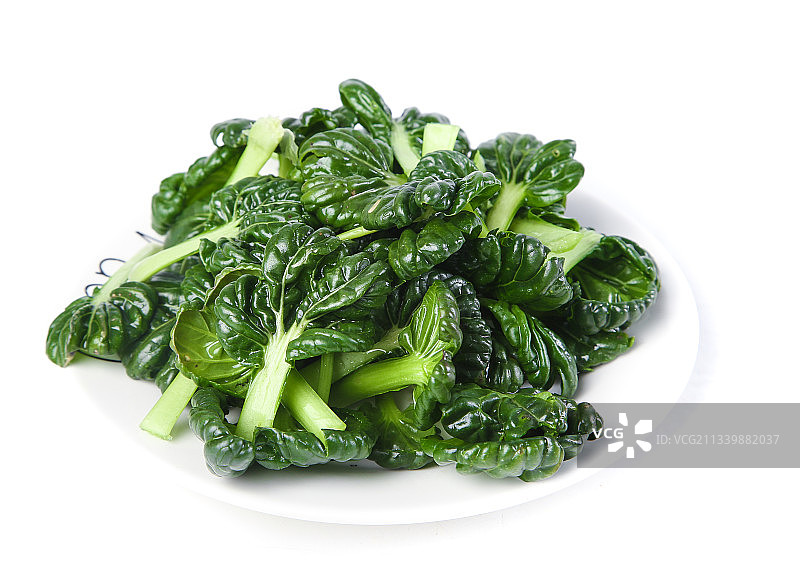 白底上的菊花菜图片素材