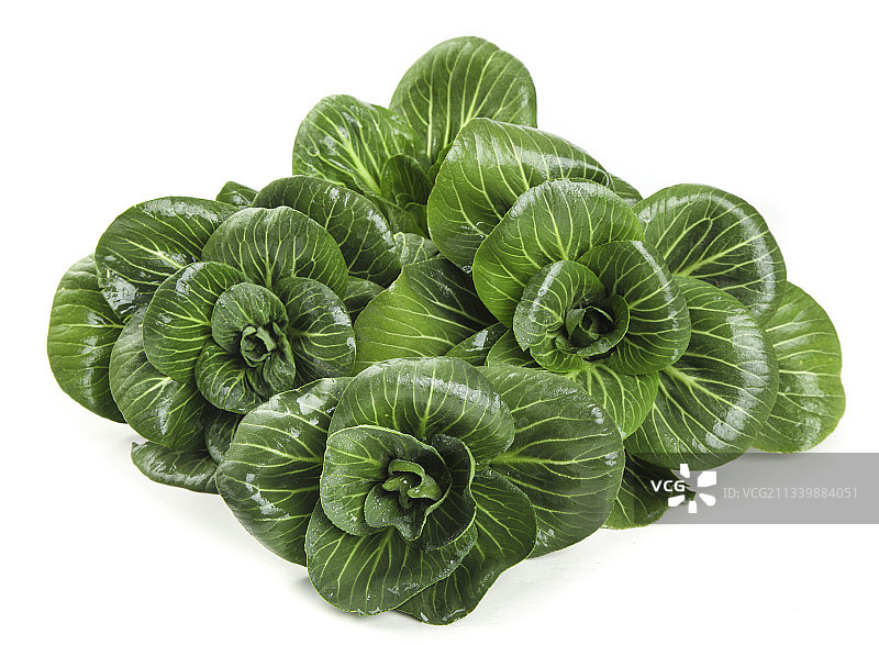 白底上放着上海青图片素材