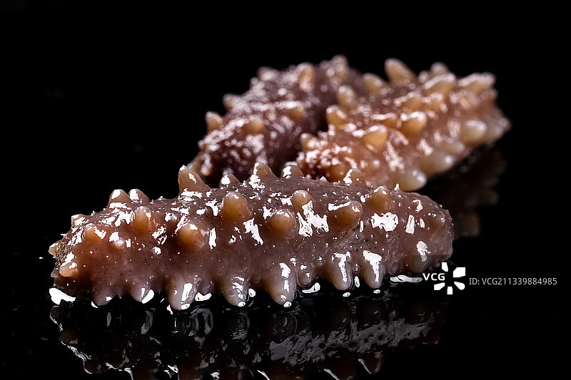 黑底上的刺参图片素材