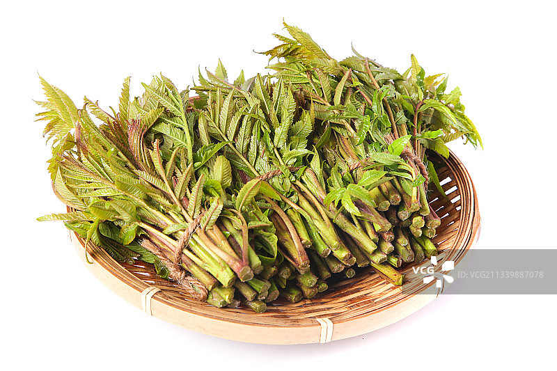 一筐山东香椿放在白底上图片素材