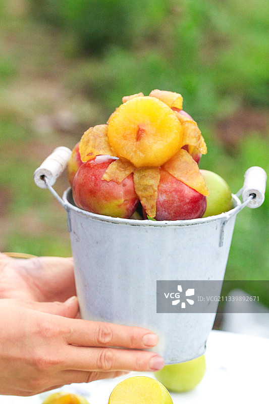 手里拿着一小桶李子图片素材