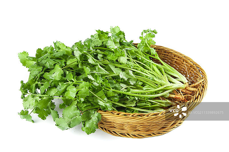 白底上放着一筐农家香菜图片素材