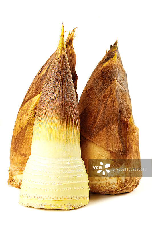 白底上的黄泥冬笋图片素材