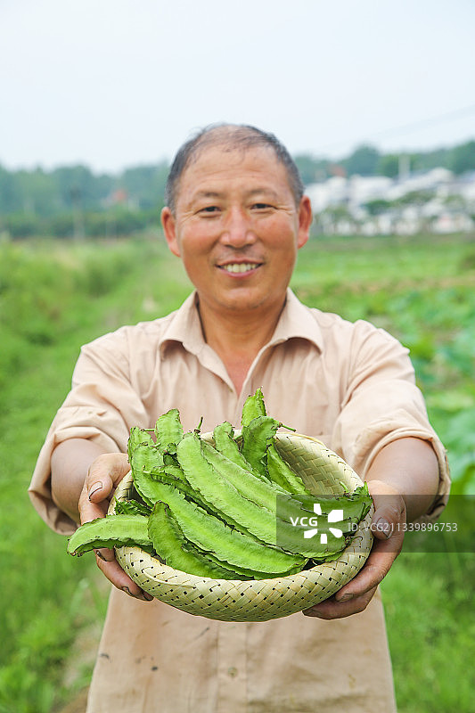 农民手里拿着一篮四角豆图片素材