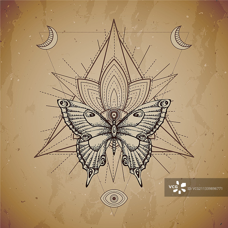 蝴蝶与神圣的象征图片素材