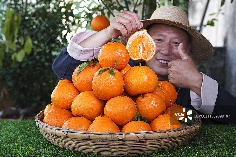 草地上放着一筐耙耙柑图片素材