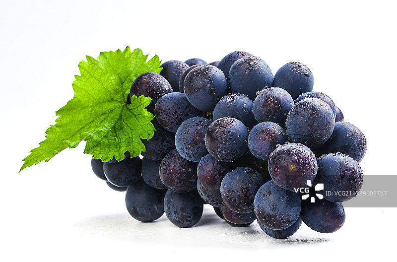 白底上的夏黑葡萄图片素材