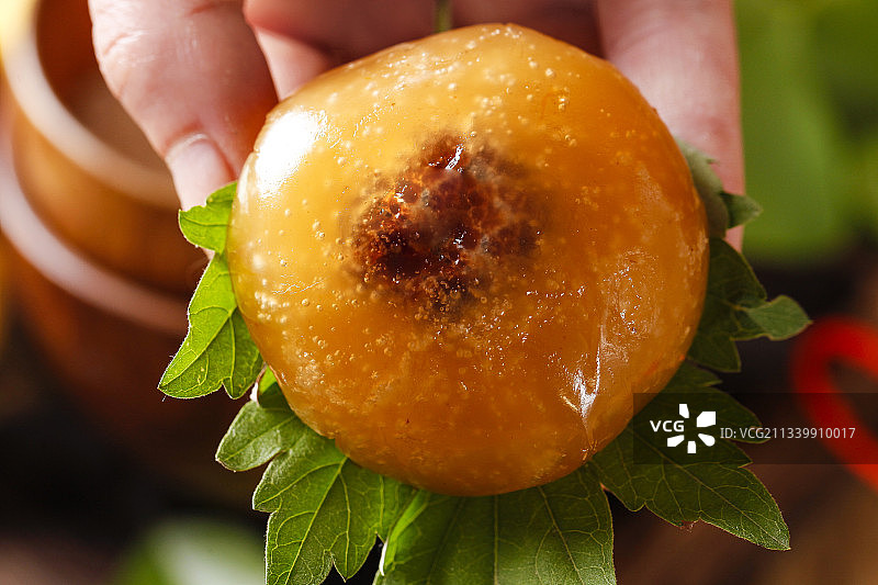 手里拿着彩色青团图片素材