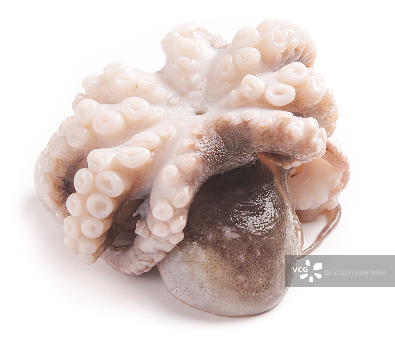 盘子里的大连章鱼图片素材