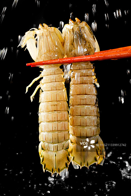 筷子上夹着虾姑图片素材