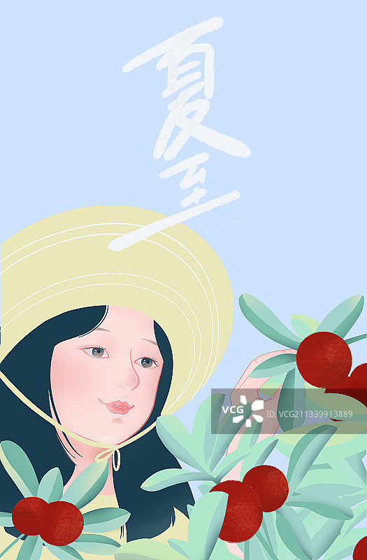 夏至的杨梅图片素材