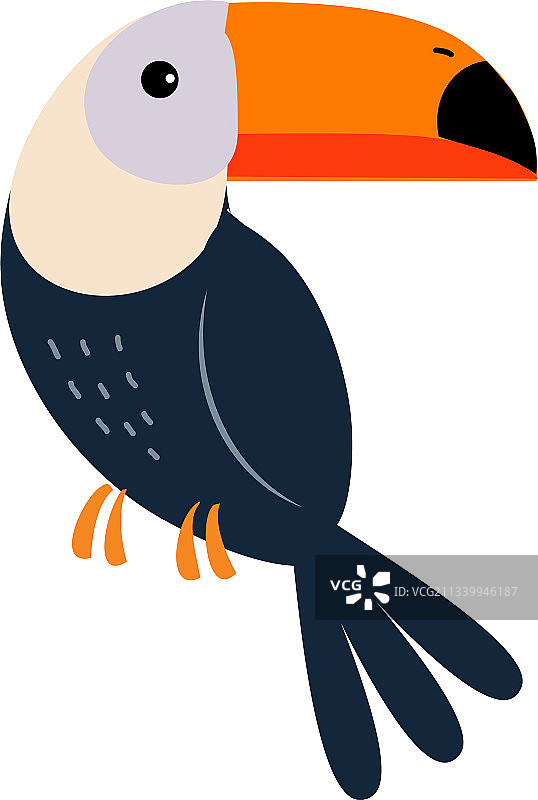 可爱的巨嘴鸟异国热带动物元素图片素材