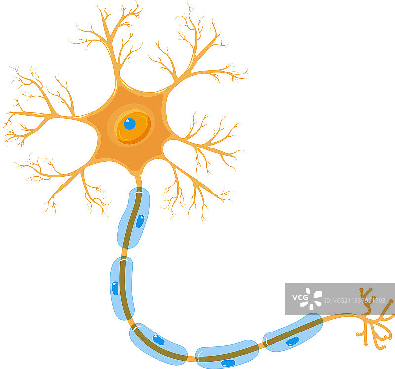 神经元细胞细节图图片素材