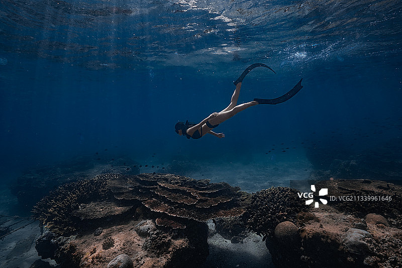 分界洲自由潜图片素材