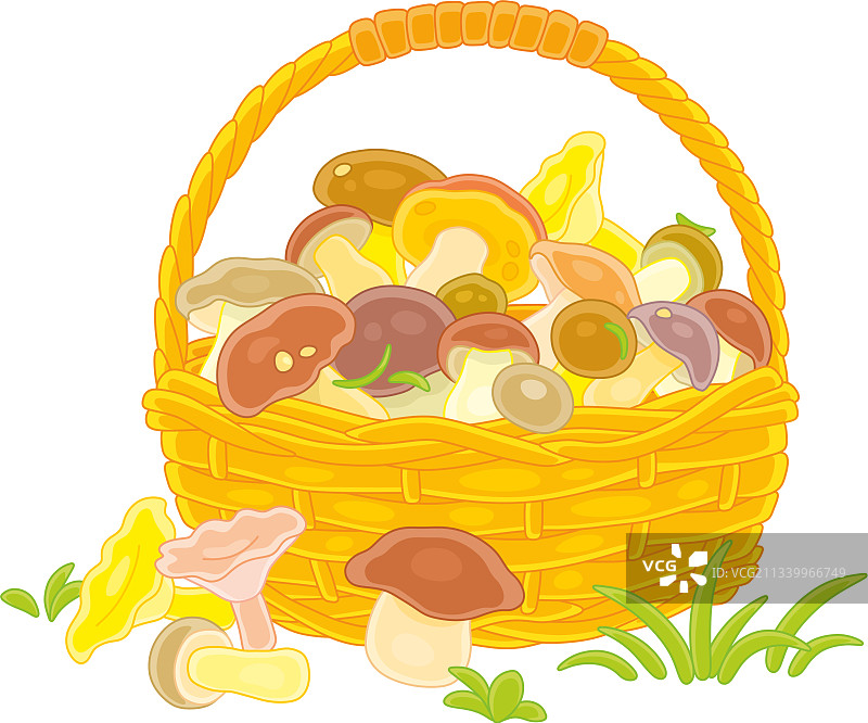 装满森林蘑菇的大柳条筐图片素材