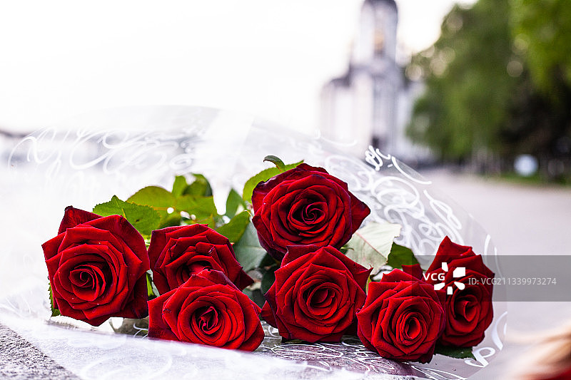 桌子上红色玫瑰的特写图片素材