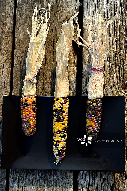 华盛顿州凯尔索市玉米桌面俯视图图片素材