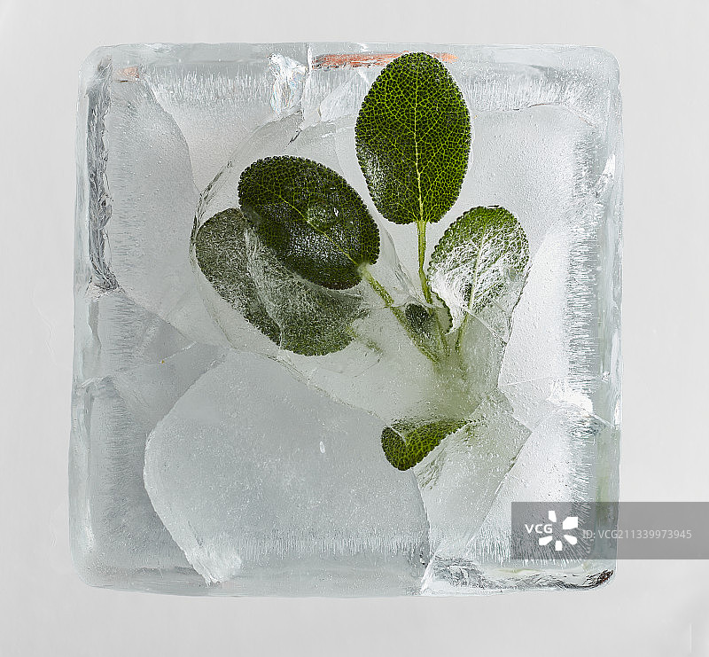 白色背景上的冰块特写图片素材