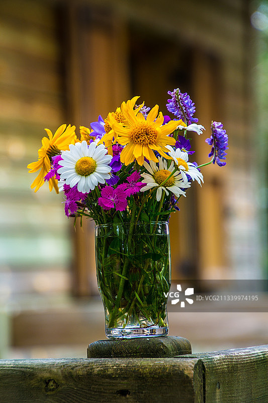 桌子上花瓶里的花的特写图片素材