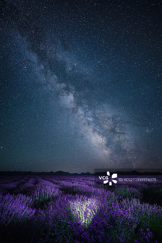 新疆伊犁薰衣草星空图片素材